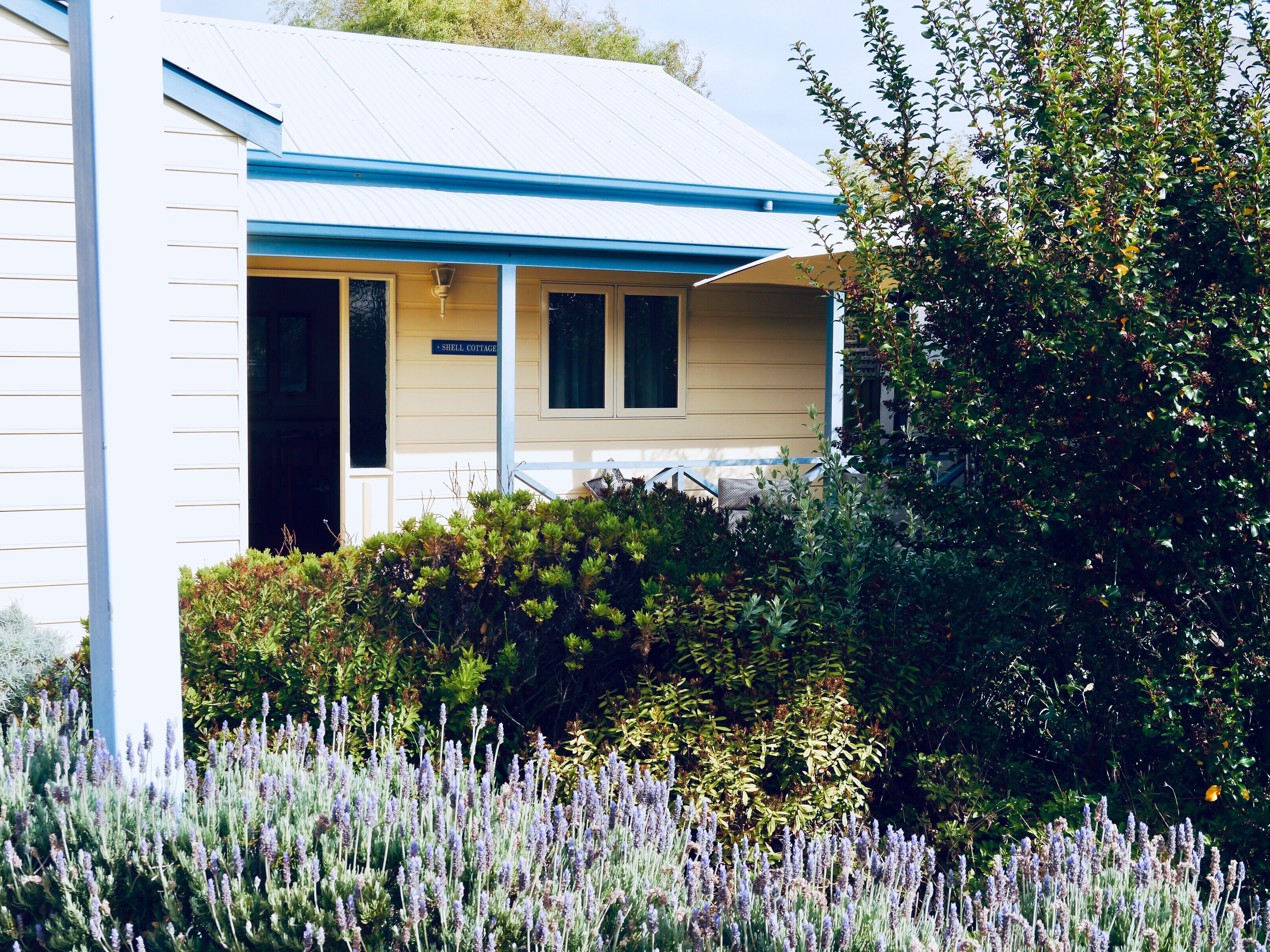 Shell Cottage Port Willunga  — image 11