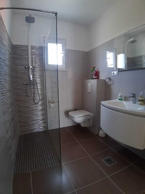 Combined shower/bathtub, free toiletries, hair dryer, towels