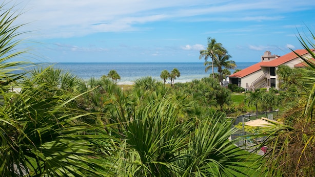 Une vue sur la côte, avec une plage, des palmiers et un bâtiment doté d’un toit rouge.