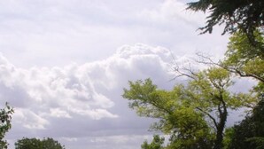 Un espace extérieur verdoyant, avec une structure en pierre, entouré d’arbres et de végétation.