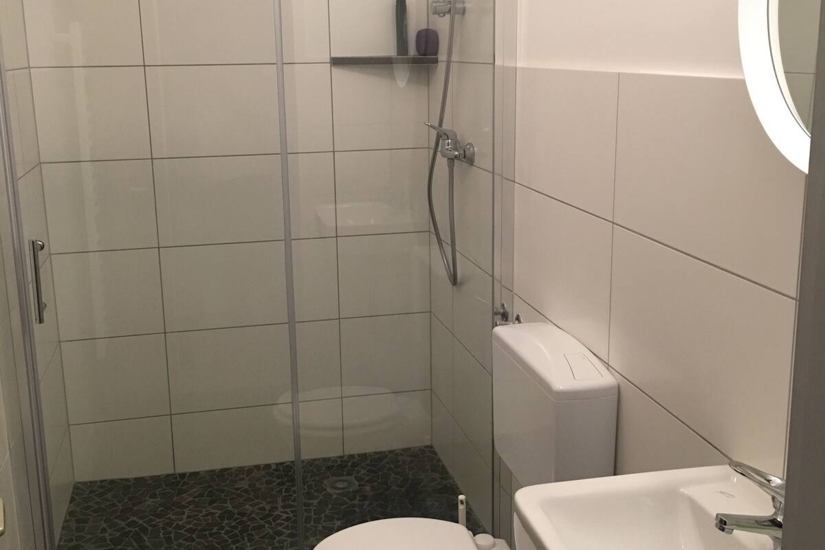 Ein Badezimmer mit einer gläsernen Duschkabine, einer Toilette und einem Waschbecken.