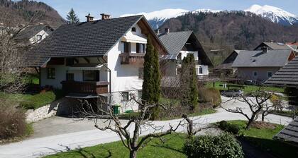 Vacation Home Sofia 2 km air distance from Lake Bled