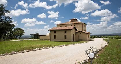 Cincinnato Wine Resort