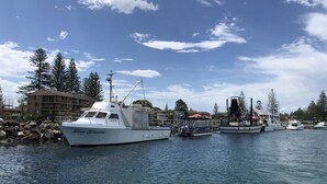 Un puerto deportivo con barcos amarrados, rodeado de árboles y un edificio con numerosas ventanas.