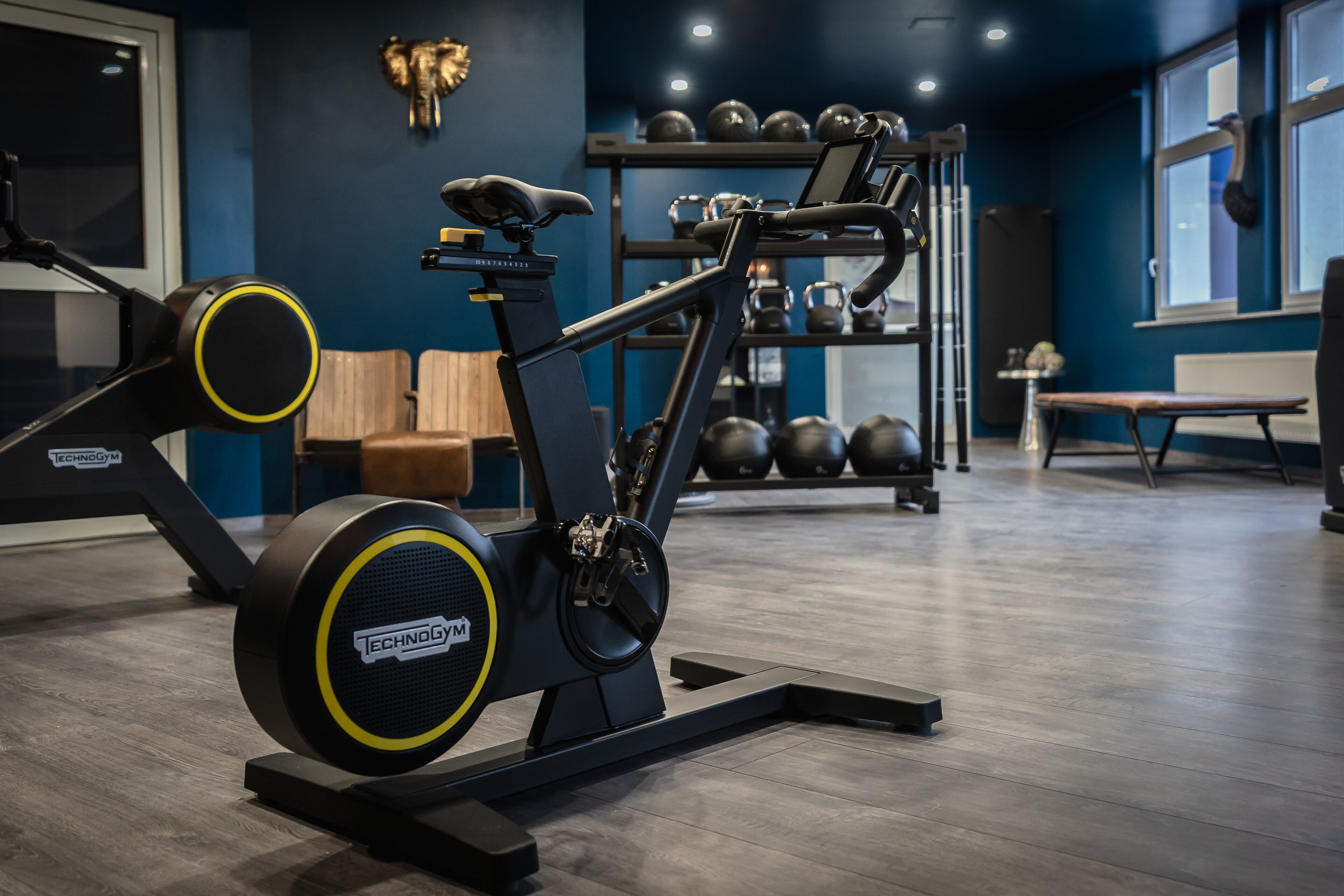 Una bicicleta estática, un banco y un estante fijado a la pared con mancuernas en un gimnasio.