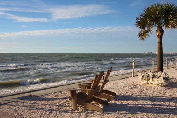A beach with wooden chairs and a palm tree.