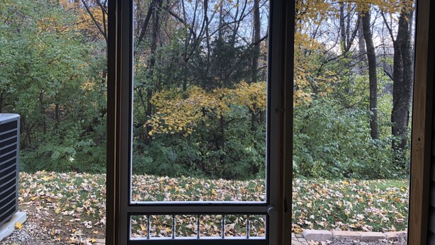 A window with a view of a forested area with trees and fallen leaves. - Cozy, Quiet and Well Appointed Dual Master w/  2.5 ba Townhome 4 miles to GSO!! (Greensboro)