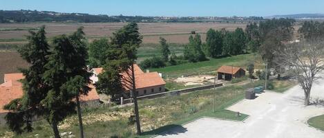 Un quartier résidentiel avec des maisons, une route asphaltée et des champs ouverts.