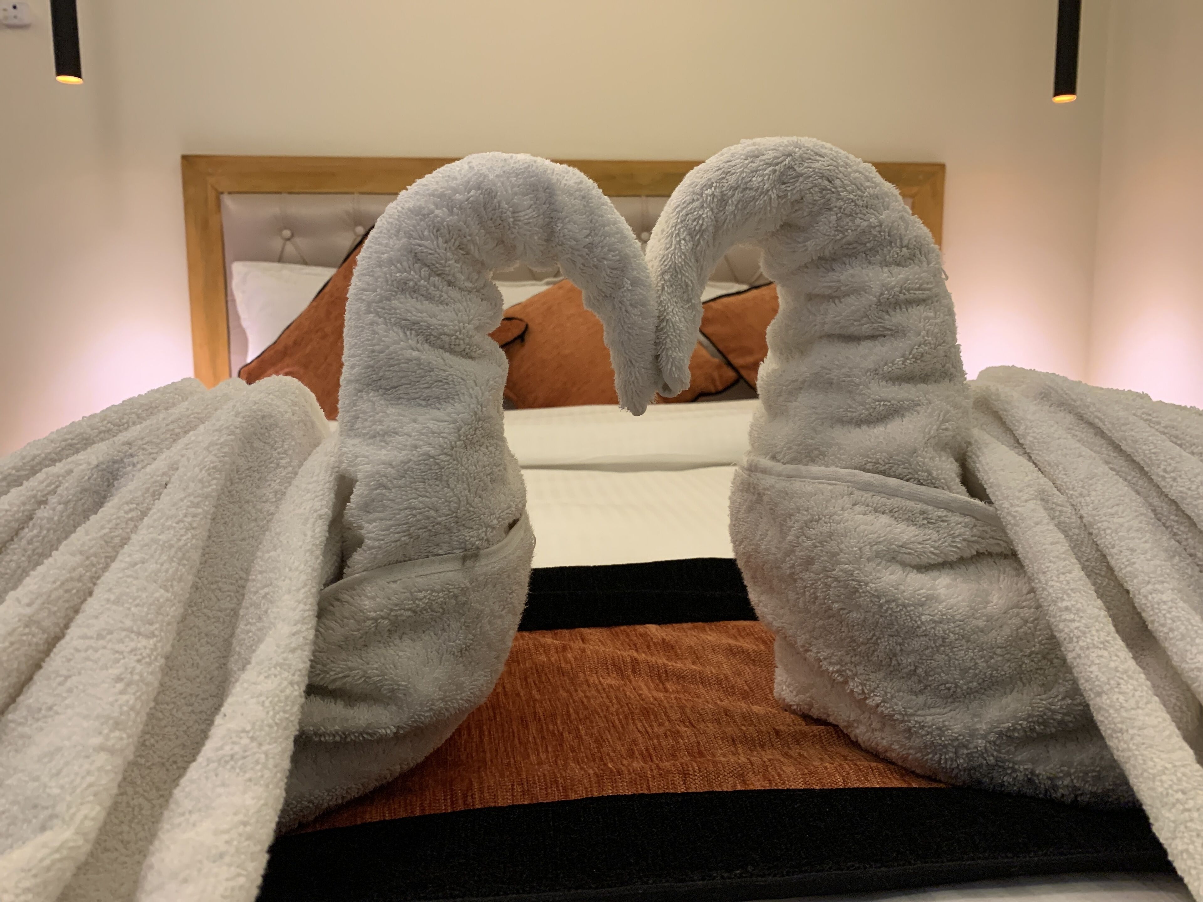 Ein Bett mit zwei weißen Handtüchern, die als Schwäne geformt sind.