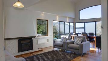 TV, fireplace, Netflix, streaming services