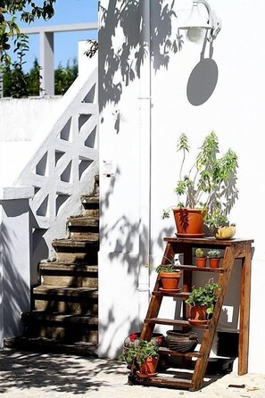 Una escalera de madera con plantas en macetas, una pared blanca y una escalera con barandilla blanca.