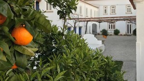 Ein Innenhof mit einem weißen Gebäude, einem roten Ziegeldach und einem Orangenbaum.