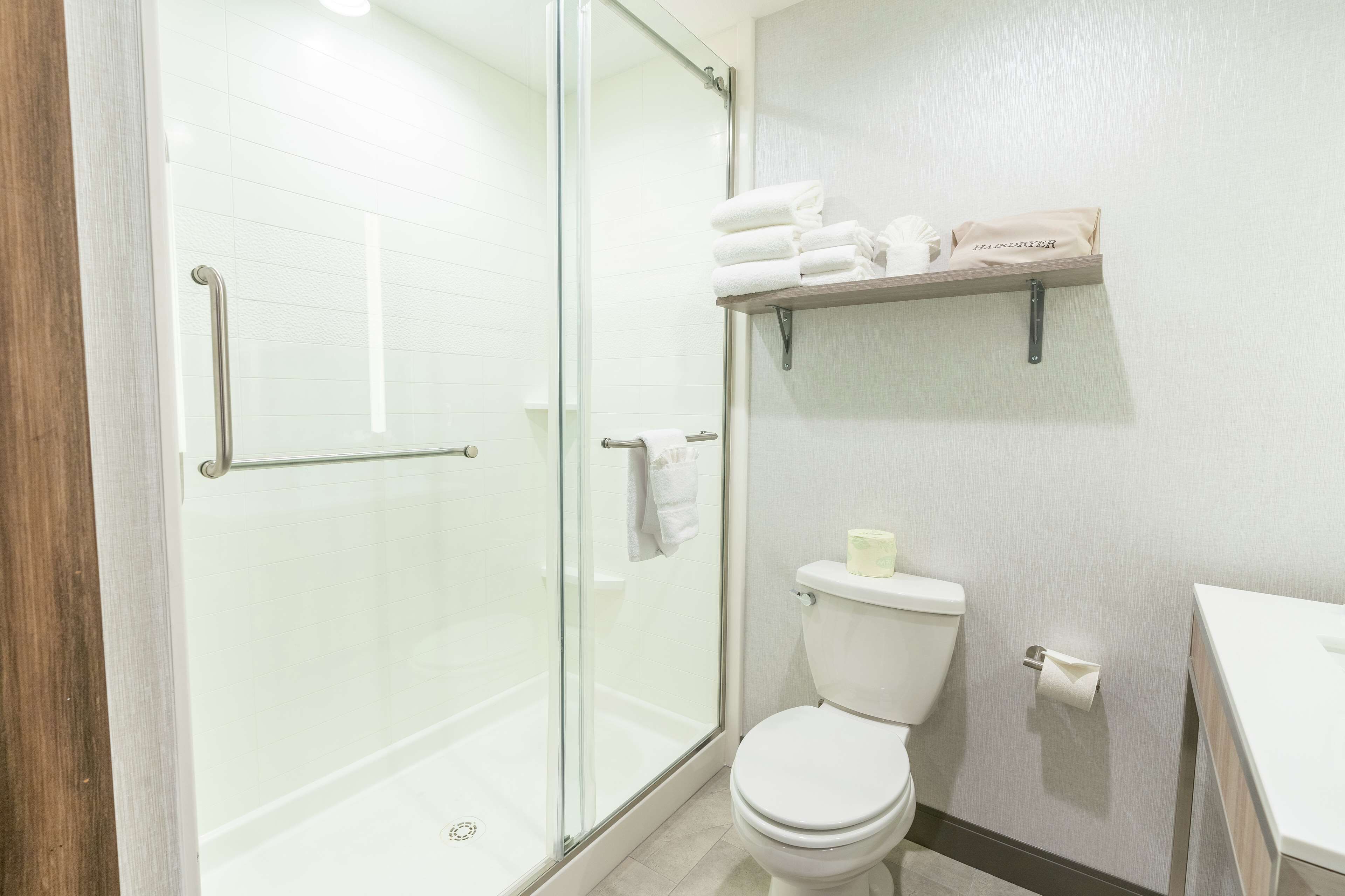 room, 1 queen bed | bathroom shower