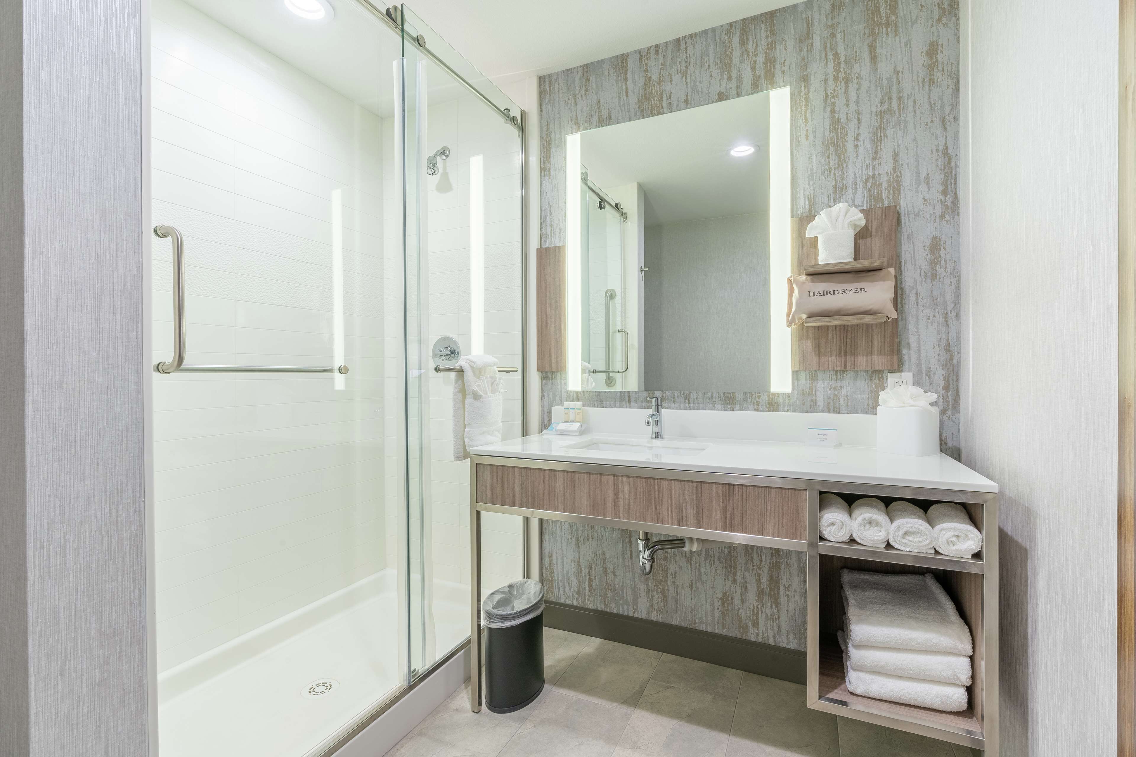 suite, 1 bedroom | bathroom shower
