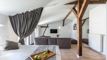 Studio (Leon: The Professional) | Living area | Flat-screen TV