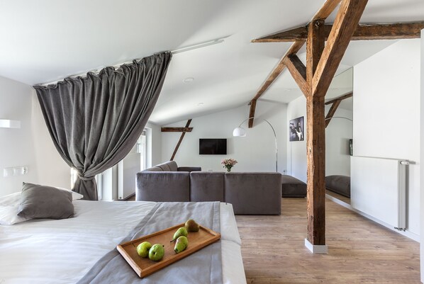 Living area - Cinema Apartments (Poznan)