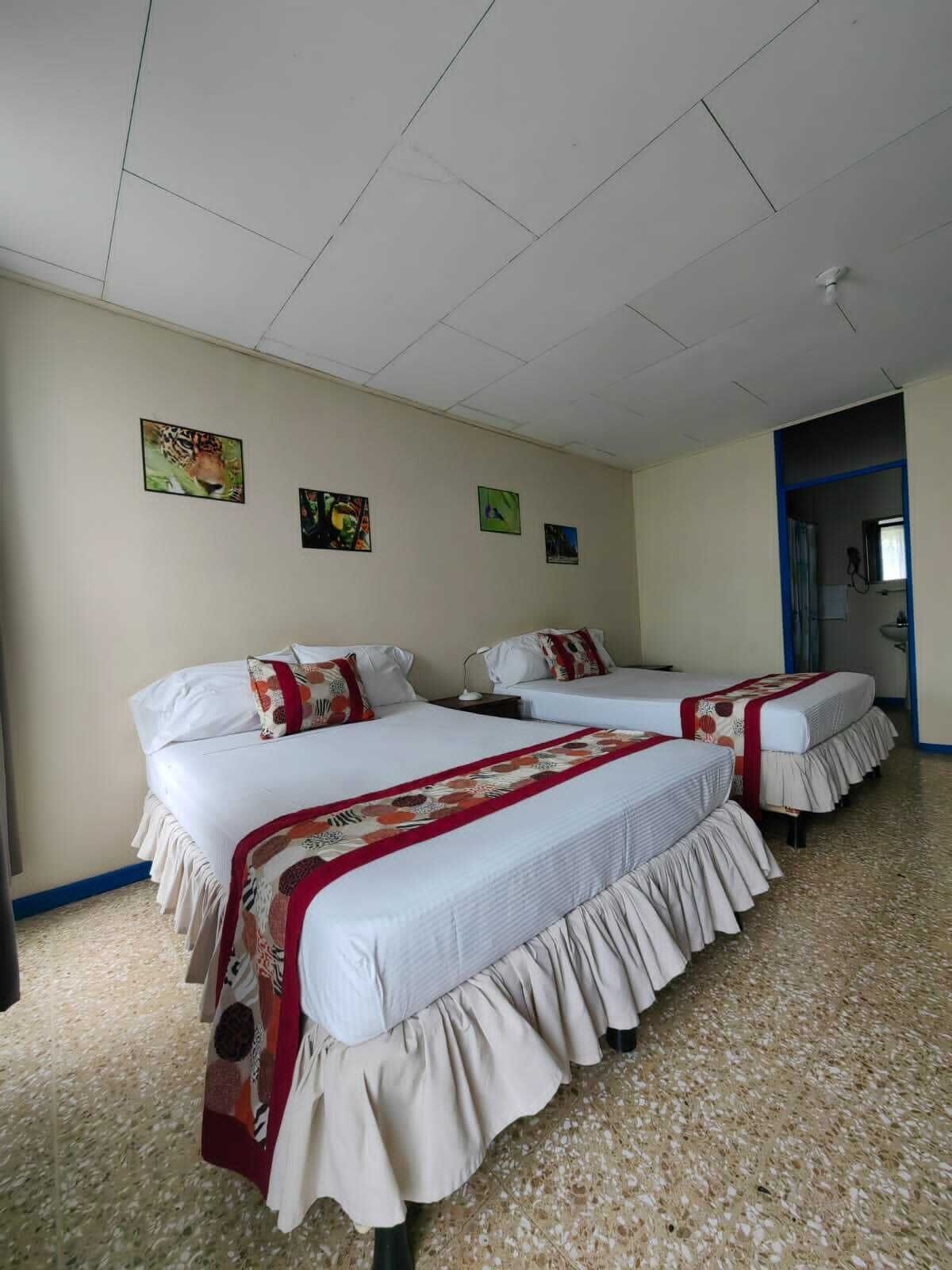 quadruple room | free wifi, bed sheets