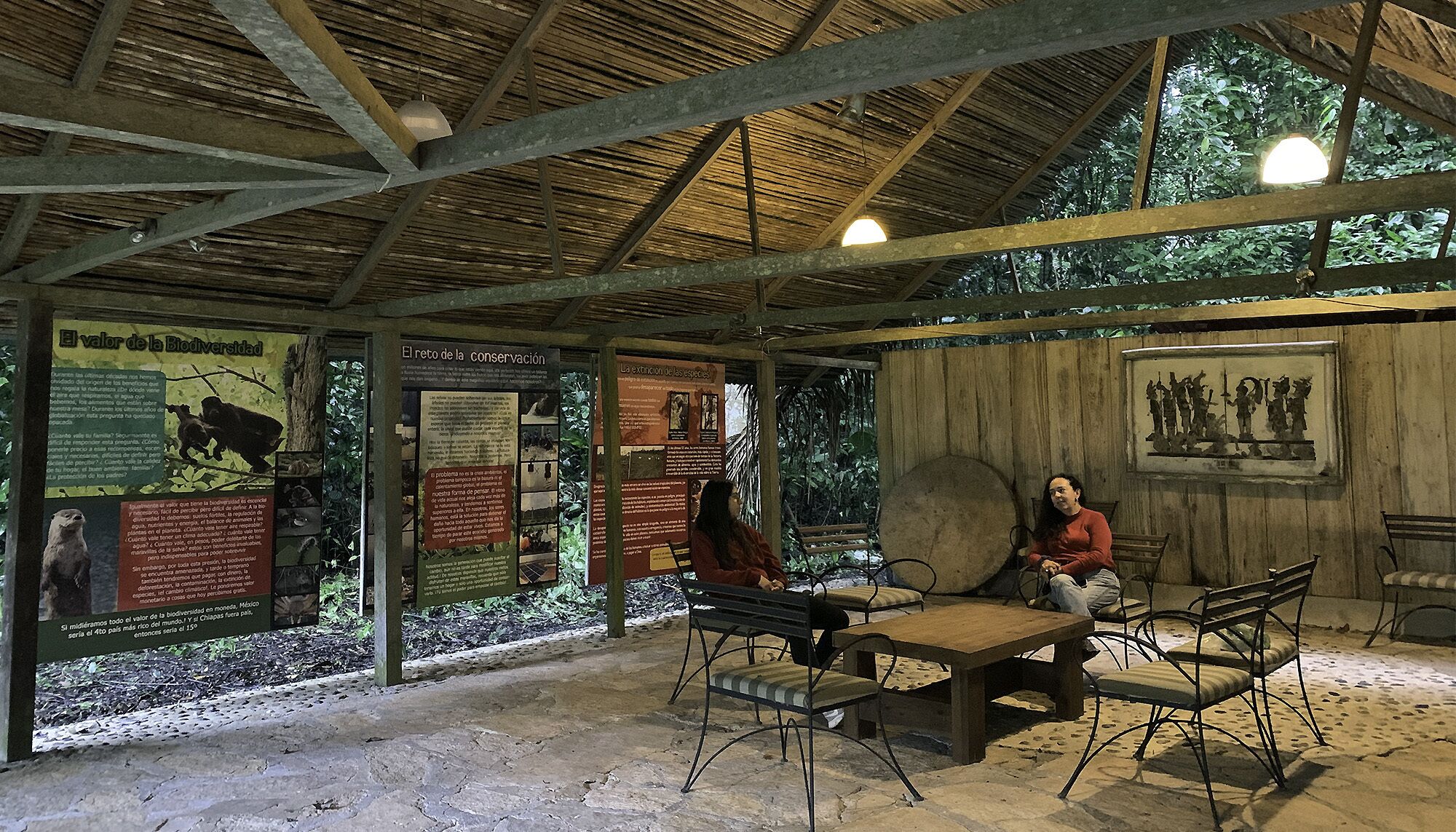 Una exhibición educativa al aire libre con carteles informativos, un banco de madera y una mesa.