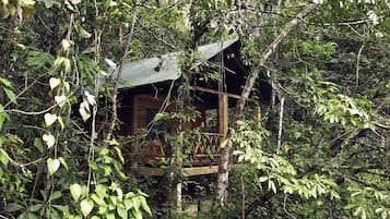 Cabane, vue fleuve