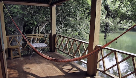 Vista desde la habitación