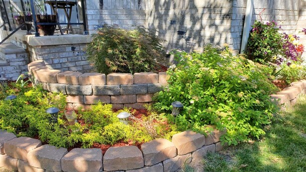 Un jardín ajardinado con un borde de piedra, varios arbustos y una pequeña estatua decorativa de un pájaro.