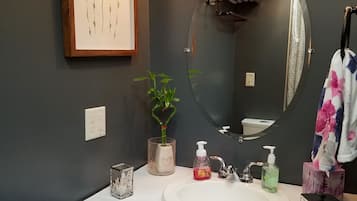 Tina con regadera y regadera tipo lluvia