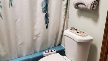 Rainfall showerhead, designer toiletries, hair dryer, bidet