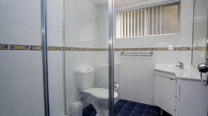 A bathroom with a glass shower enclosure, a toilet, a sink, and a mirror.