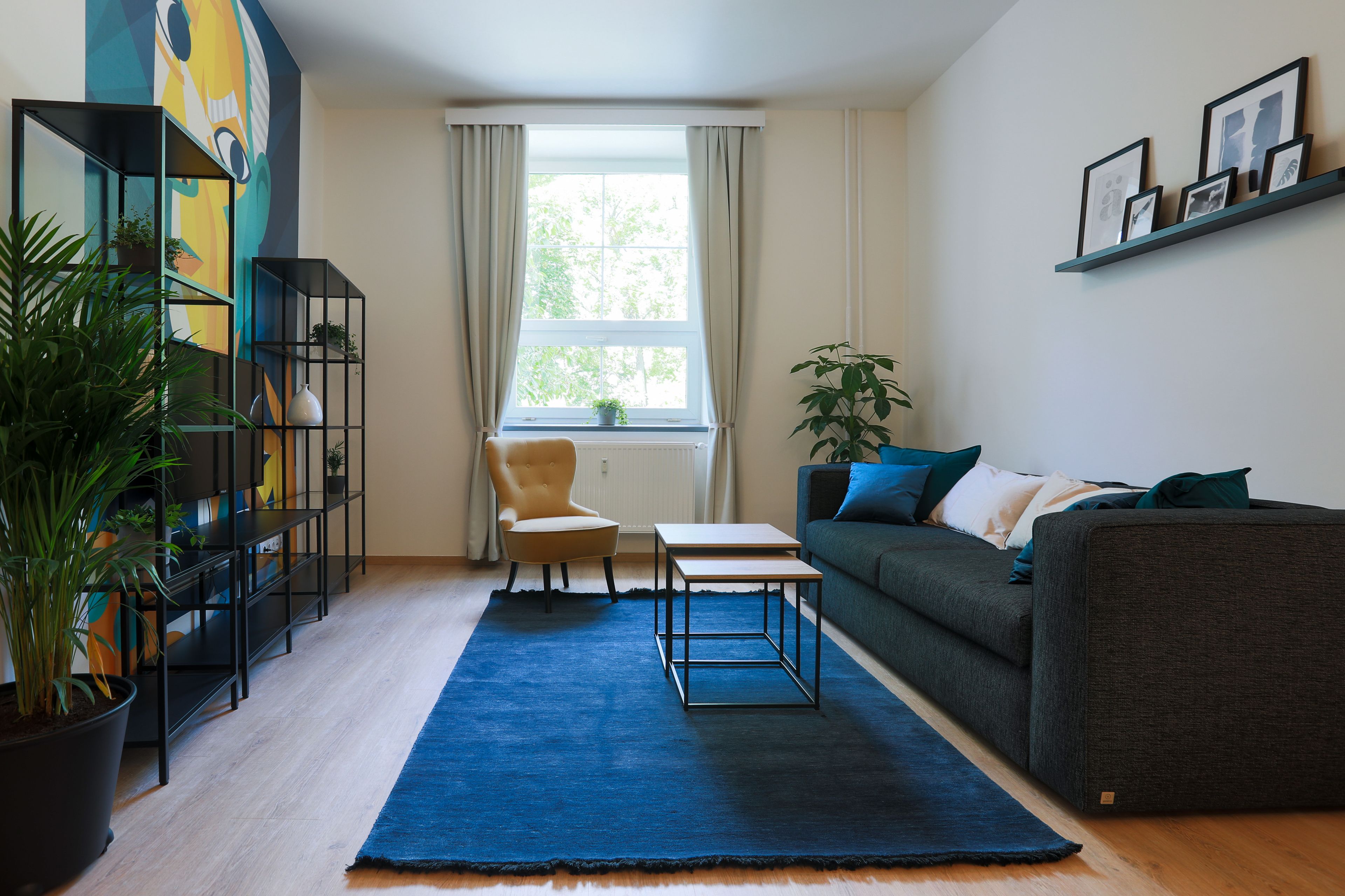 Una sala de estar con un sofá, un sillón, una mesa de centro y una alfombra azul. Se aprecia una ventana con cortinas, una estantería y una planta en maceta.