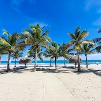 Una playa cerca
