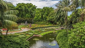Un exuberante jardín con un estanque, un puente y una variedad de plantas tropicales.