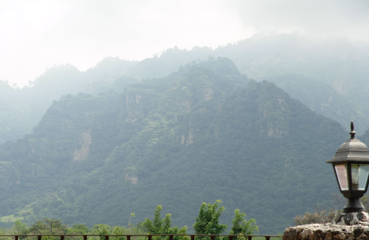 Værtens profilbillede