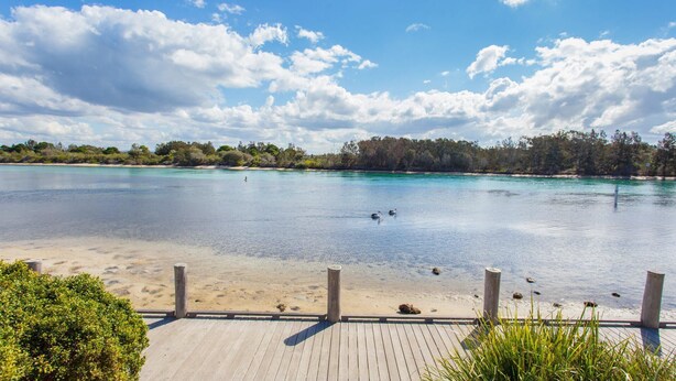 A beach with clear turquoise water, a wooden walkway, and a line of trees in the background. - Haven Waters 6 - On the Lake! (Forster)