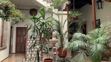 Khuôn viên nơi lưu trú