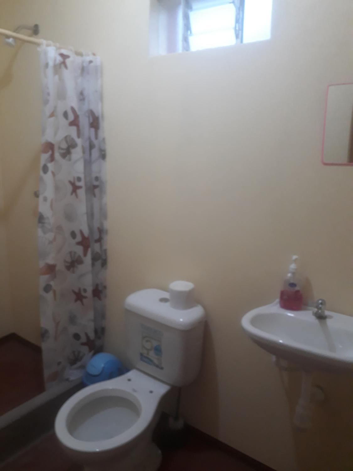 淋浴设施、毛巾、肥皂、卫生纸