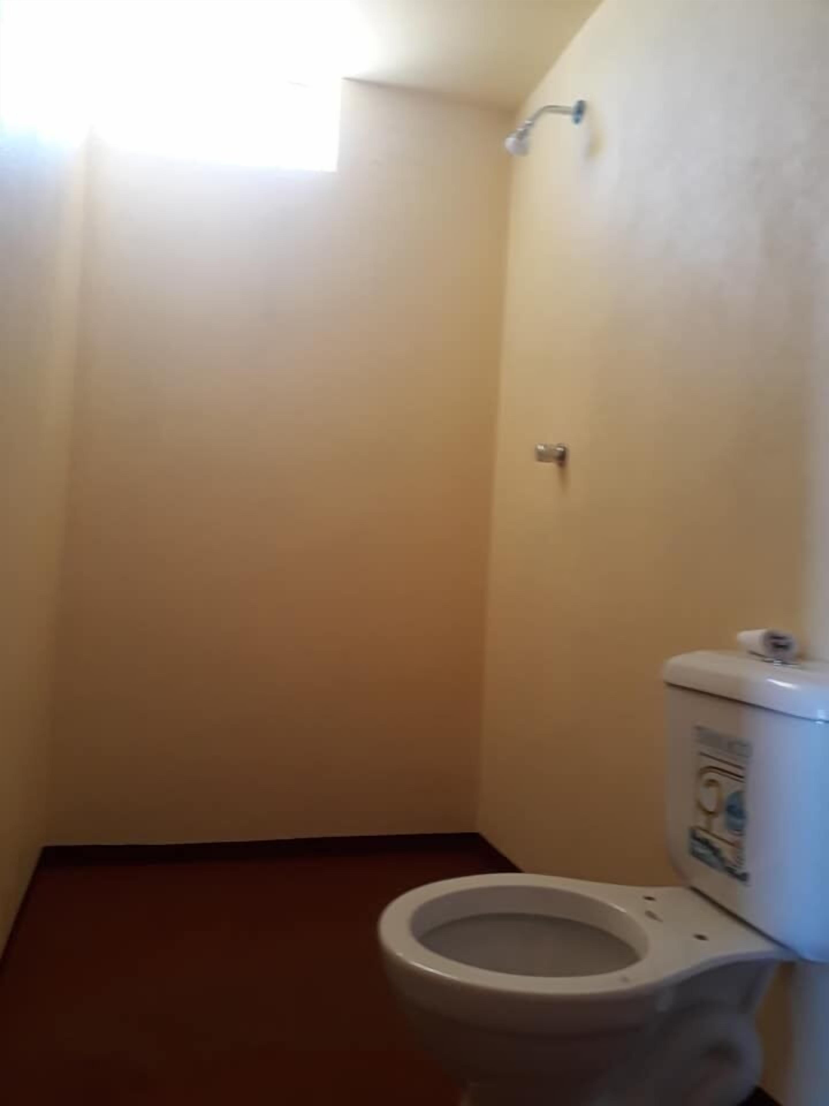 A small, narrow bathroom with a toilet and a shower.