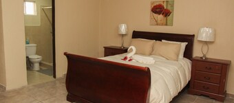 Plaza Goya Suite #203  New Comfy Great Location