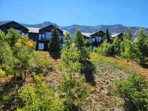 A row of modern cabins with large windows, surrounded by dense forest and mountains in the background.