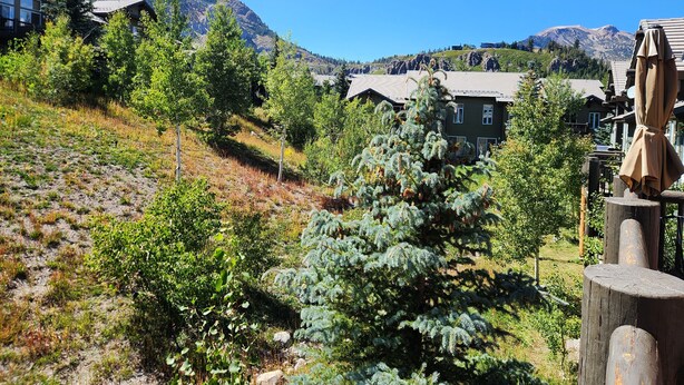 Unclassified image, 1 of 16, button - Snowcreek Resort Vacation Rental 950 (Mammoth Lakes)