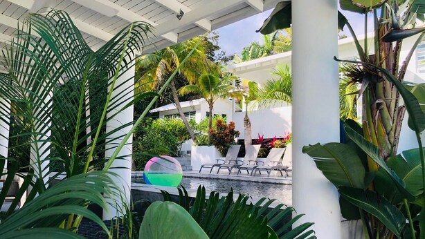 A covered outdoor area with a pool, lounge chairs, and tropical plants.
