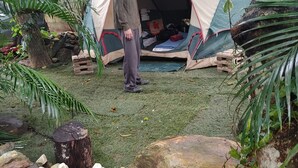 Una tienda de campaña montada en un entorno natural, con una pared de piedra, un árbol y un pequeño jardín.