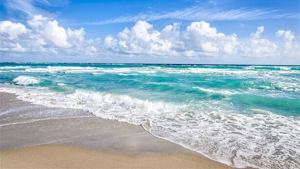 Une plage avec des vagues et un ciel dégagé.
