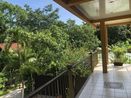 Vista desde la habitación