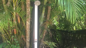 Un jardin avec un chemin dallé menant à une porte surmontée d’un élément décoratif.