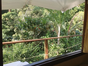 A balcony with a wooden railing overlooking a lush garden with various plants and trees.