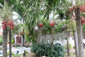Puutarha