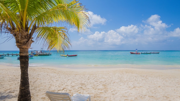 A beach with a palm tree, a white chair, and several boats in the water. - Beachfront Luxury at Coral Sands (Roatan)