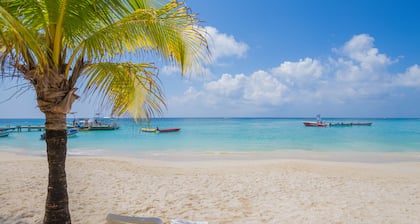 Luxe sur la plage Ă Coral Sands