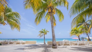 A beachside area with palm trees, lounge chairs, and a view of the ocean. - Beachfront Luxury at Coral Sands (Roatan)