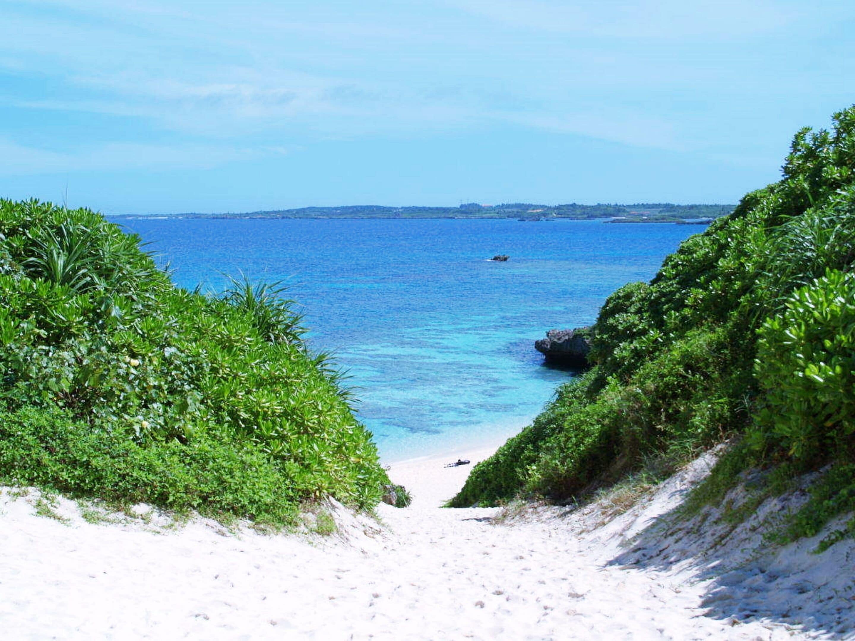 A beach with clear blue water, sandy shore, and lush greenery.